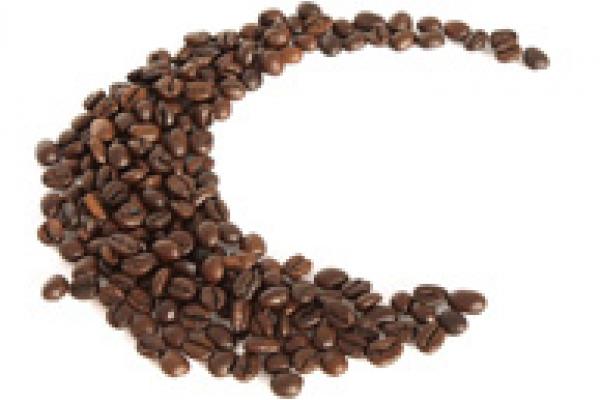 gsg fair trade 01a